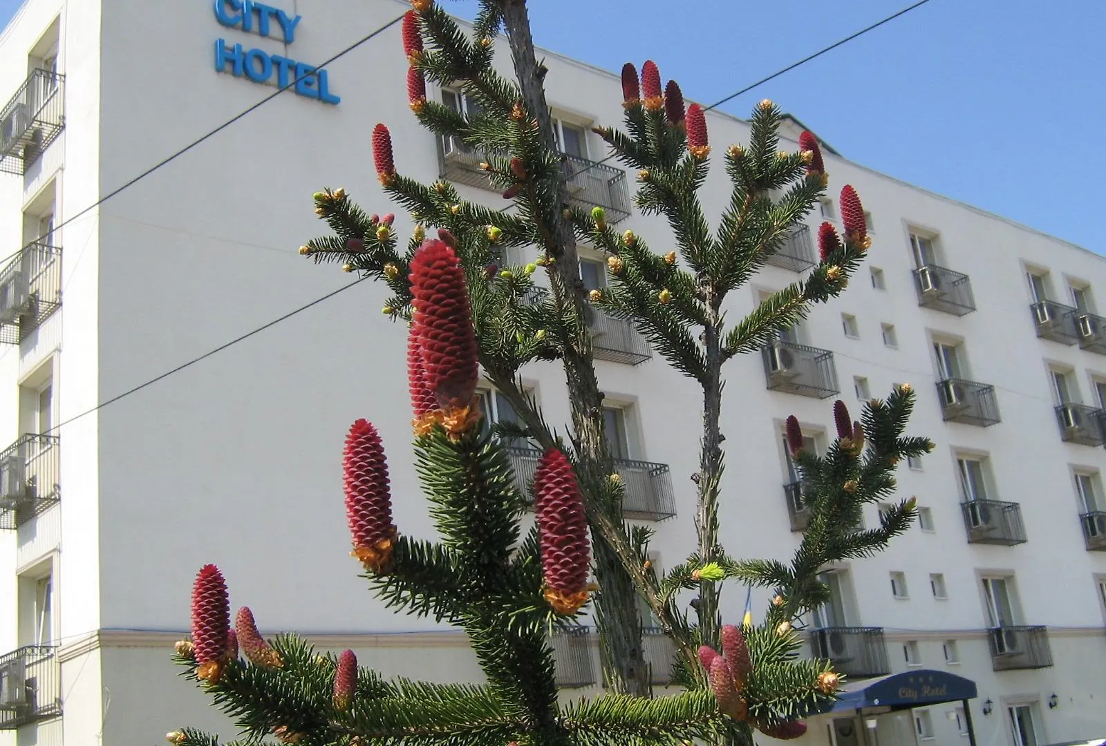 City Hotel Bukarest